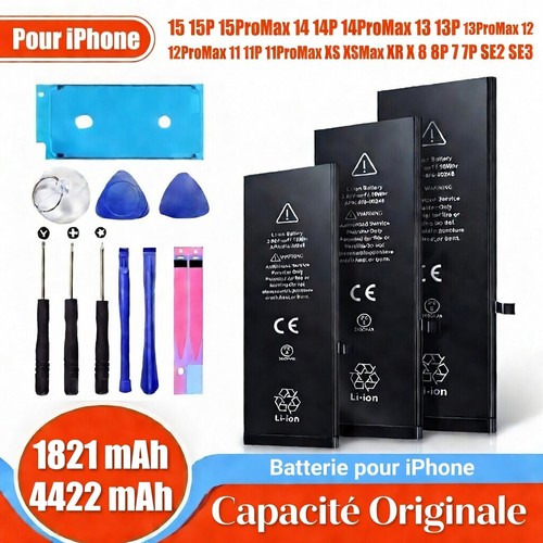 Ppneb iphone internal battery - iphone,
